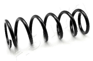 Suspension Spring (ZCA2497D)