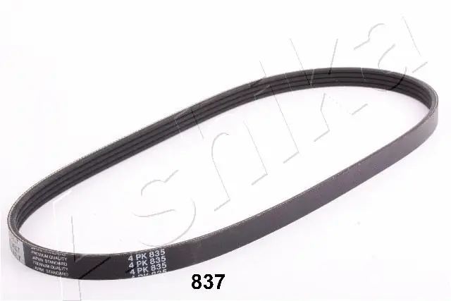 V-Ribbed Belt (96-08-837)