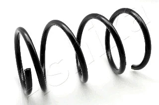 Suspension Spring (ZCA2113H)