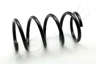 Suspension Spring (ZCA5984D)