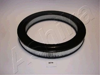 Air Filter (20-02-207)