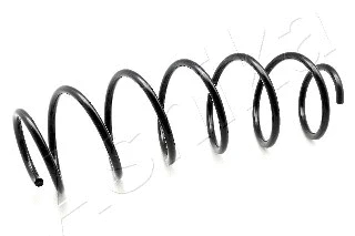 Suspension Spring (ZCA3556A)