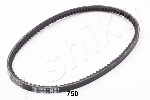 V-Belt (94-07-750)