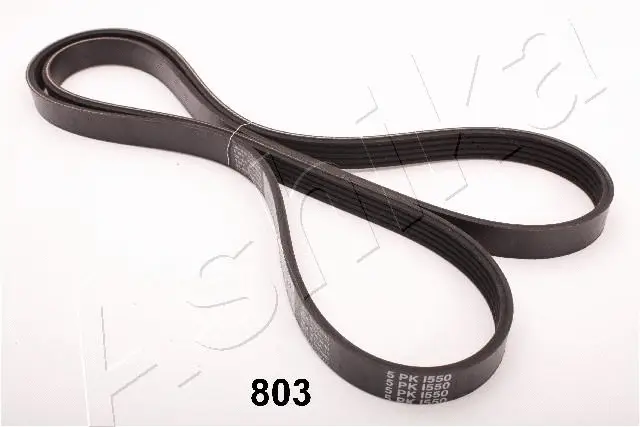 V-Ribbed Belt (96-08-803)