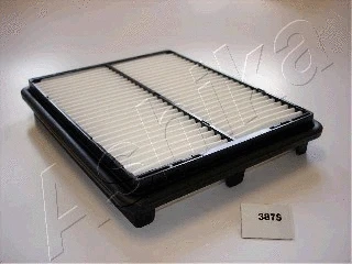 Air Filter (20-03-387)