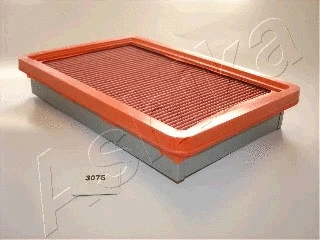 Air Filter (20-03-307)