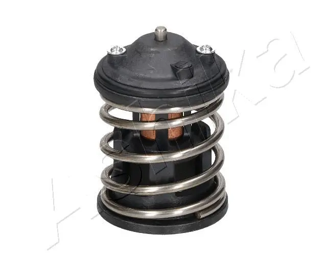 Thermostat, coolant (38-00-0108)