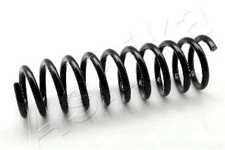 Suspension Spring (ZCA6126A)