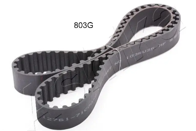 Timing Belt (40-08-803G)