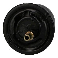 Fuel Filter (30-05-520)