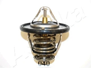 Thermostat, coolant (22-040)