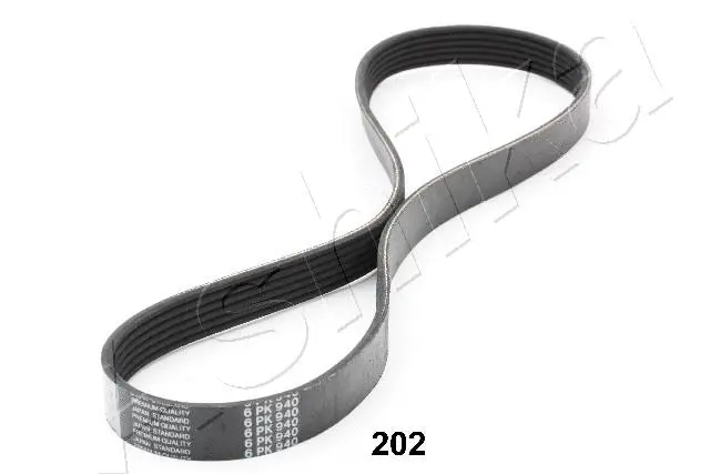 V-Ribbed Belt (96-02-202)