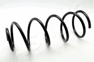 Suspension Spring (ZCA2147C)