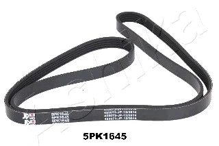V-Ribbed Belt (112-5PK1645)