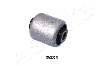 Mounting, control/trailing arm (GOM-2431)