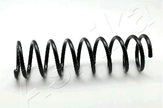 Suspension Spring (ZCA1111A)