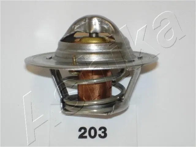 Thermostat, coolant (38-02-203)