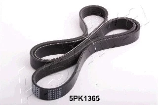 V-Ribbed Belt (112-5PK1365)