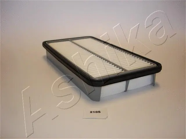 Air Filter (20-02-218)