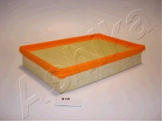 Air Filter (20-08-819)