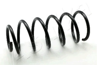 Suspension Spring (ZCA1121C)