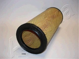 Air Filter (20-09-999)