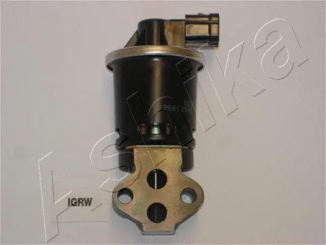 EGR Valve (IGRW)