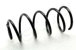Suspension Spring (ZCA1052C)
