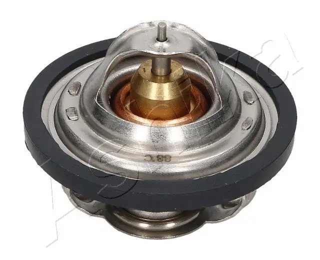 Thermostat, coolant (38-00-0301)