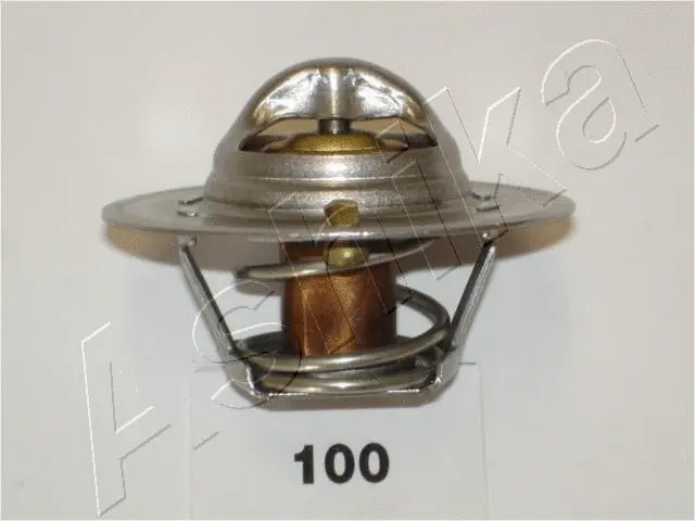 Thermostat, coolant (38-01-100)