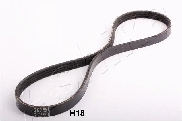 V-Ribbed Belt (96-0H-H18)