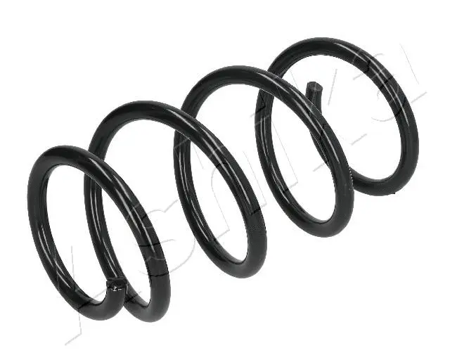 Suspension Spring (ZCA1110A)