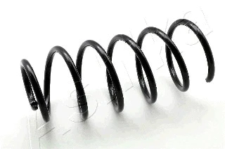 Suspension Spring (ZCA1254C)