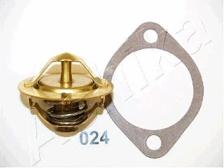 Thermostat, coolant (22-024)