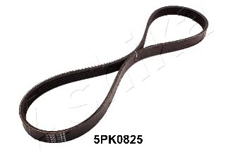 V-Ribbed Belt (112-5PK0825)