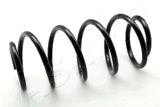 Suspension Spring (ZCA1160H)