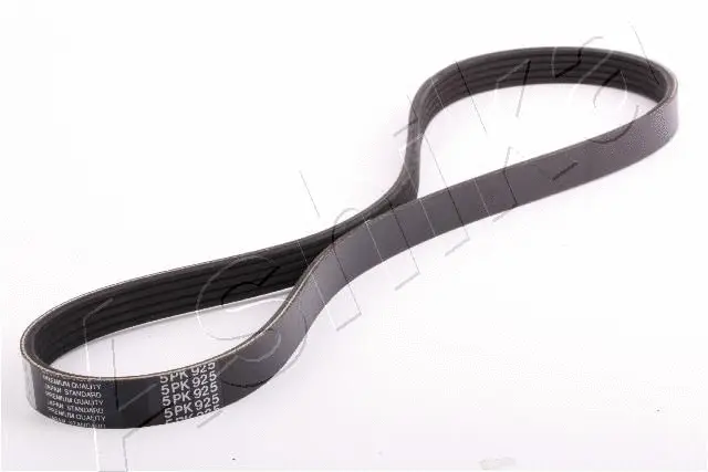 V-Ribbed Belt (96-09-925)