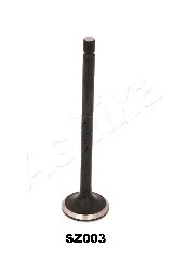 Exhaust Valve (15SZ003)
