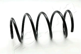 Suspension Spring (ZCA3012C)