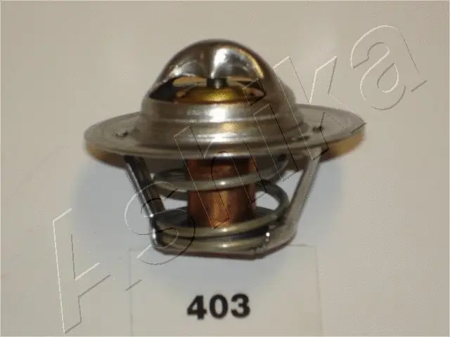 Thermostat, coolant (38-04-403)
