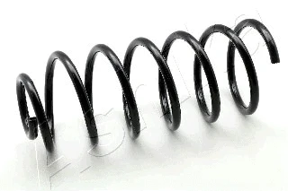 Suspension Spring (ZCA1646G)