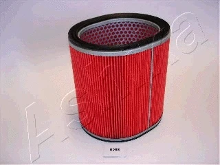 Air Filter (20-05-509)