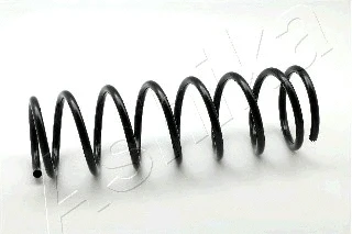 Suspension Spring (ZCA5583A)