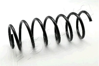 Suspension Spring (ZCA1266G)