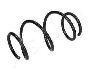 Suspension Spring (ZCA4019A)