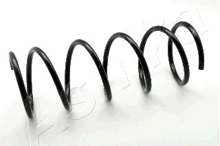 Suspension Spring (ZCA1060A)