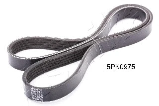 V-Ribbed Belt (112-5PK975)
