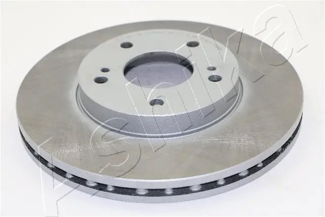 Brake Disc (60-01-174C)