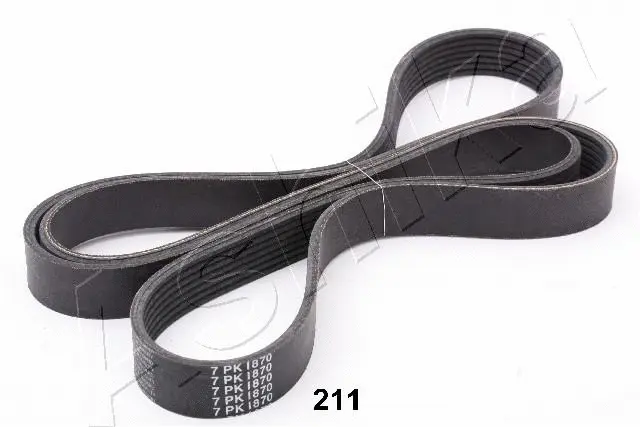 V-Ribbed Belt (96-02-211)