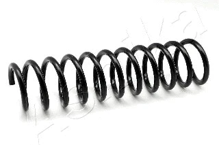 Suspension Spring (ZCA5834C)